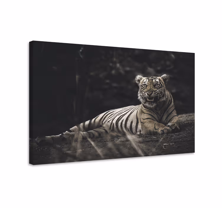 Kanvas djur majestätisk tiger vila - Tenstickers