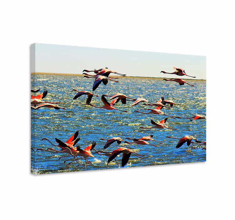 Canvastavlor för flamingos flygande djur - Tenstickers