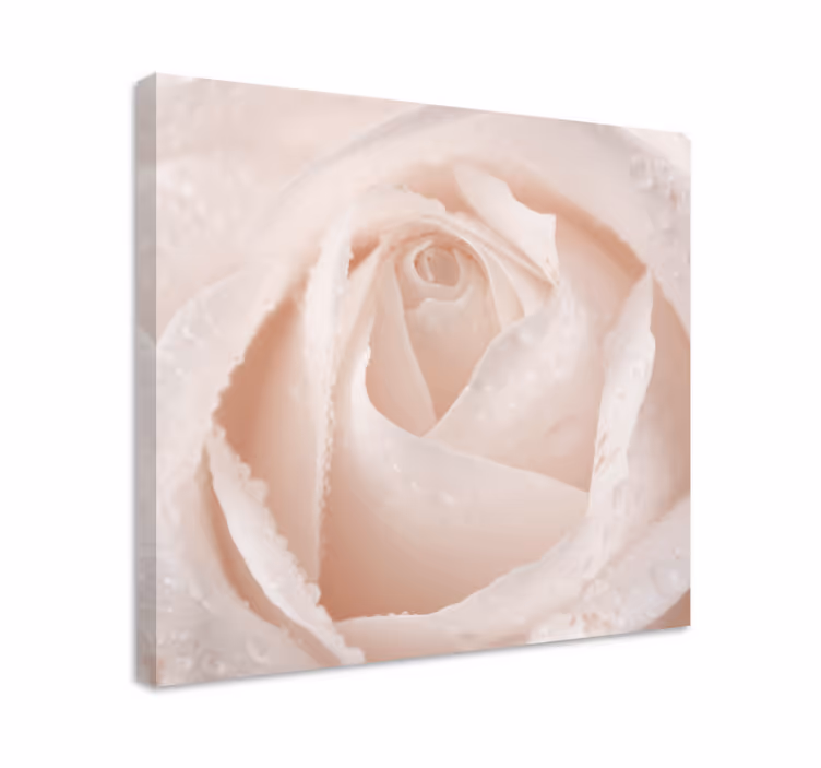 Kanvas blommor och växter elegant rosblomma - Tenstickers