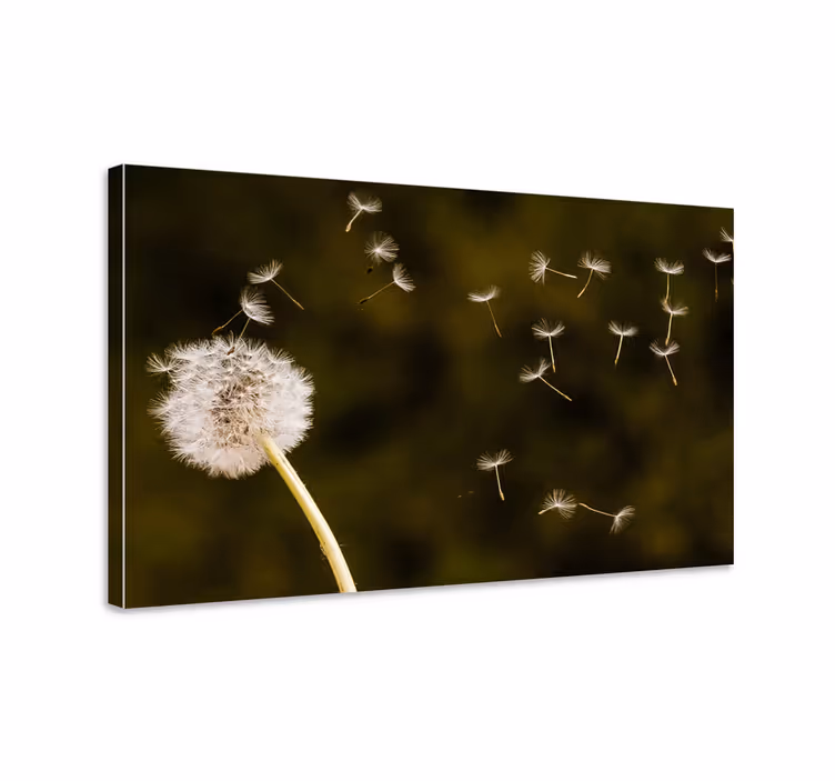 Maskros närbild med grön blommacanvas tavla - Tenstickers