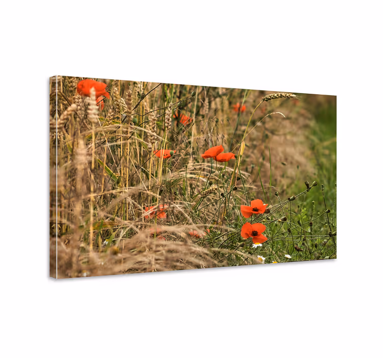 Pulserande vallmofält Kanvas blommor och växter - Tenstickers
