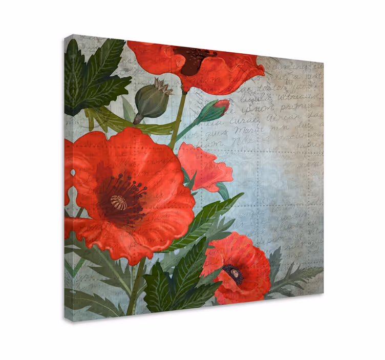 Röda och vita vintage vallmo blommor - Tenstickers