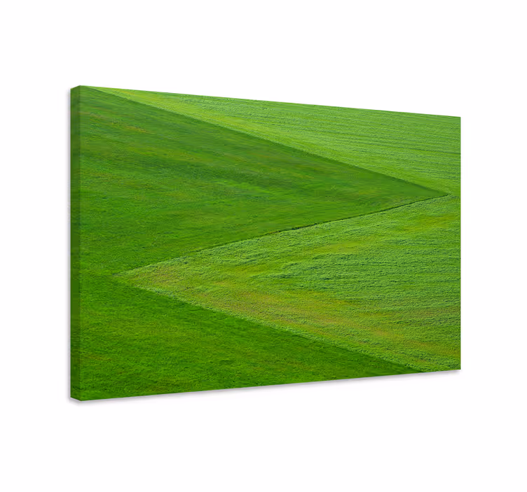 Grönt gräs texturerat landskapcanvas tavla - Tenstickers