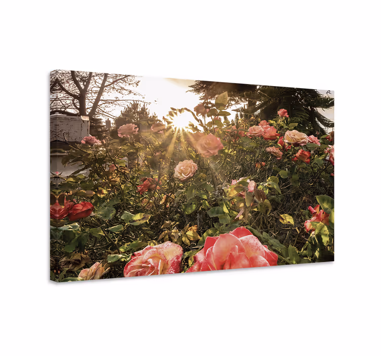 Kanvas blommor och växter strålande rosor - Tenstickers