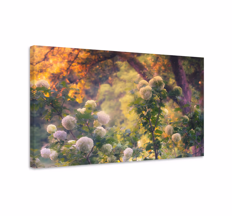 Kanvas blommor och växter ängsblommor - Tenstickers