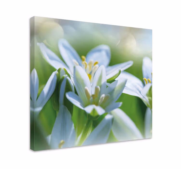 äng av magnifika snödroppar blommacanvas tavla - Tenstickers
