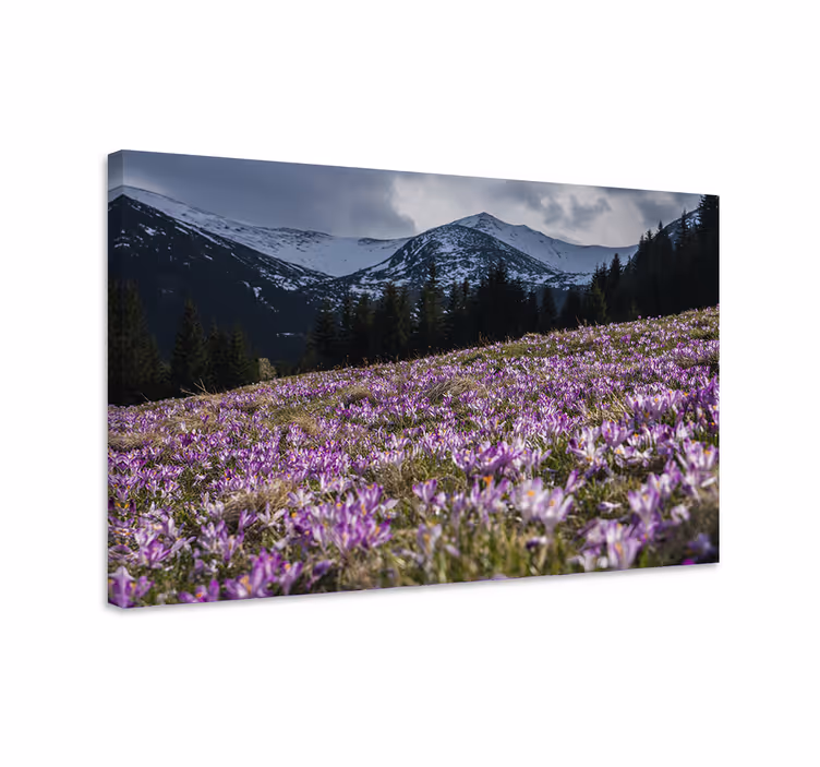 Kanvas blommor och växter lila blomstrande äng - Tenstickers