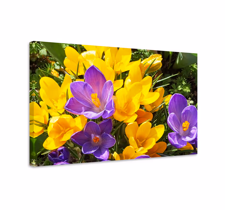 Kanvas blommor och växter färgglada vårblommor - Tenstickers