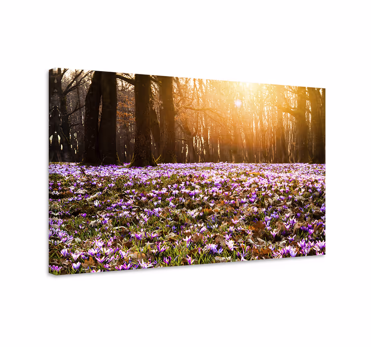 Vacker lila krokus landskap blommacanvas tavla - Tenstickers
