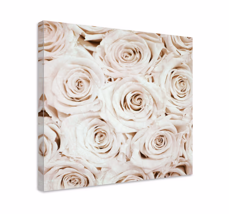 Kanvas blommor och växter mild rosblomma - Tenstickers