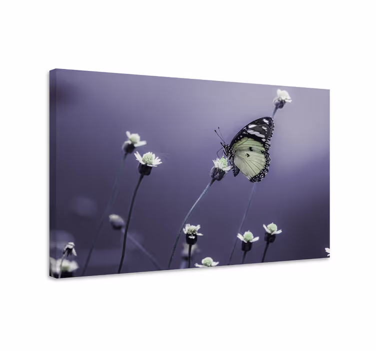 Elegant canvas för fjärilsblomma fjäril - Tenstickers