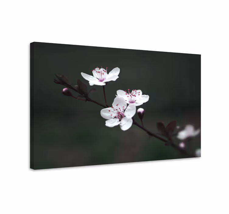 Kanvas blommor och växter delikata blommor blommar - Tenstickers