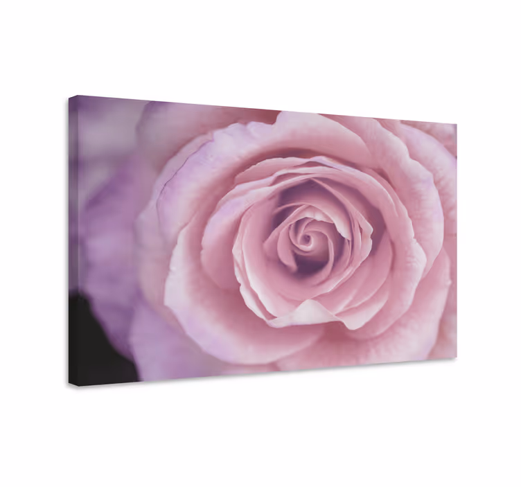 Rosa blommor och växter kanvas - Tenstickers