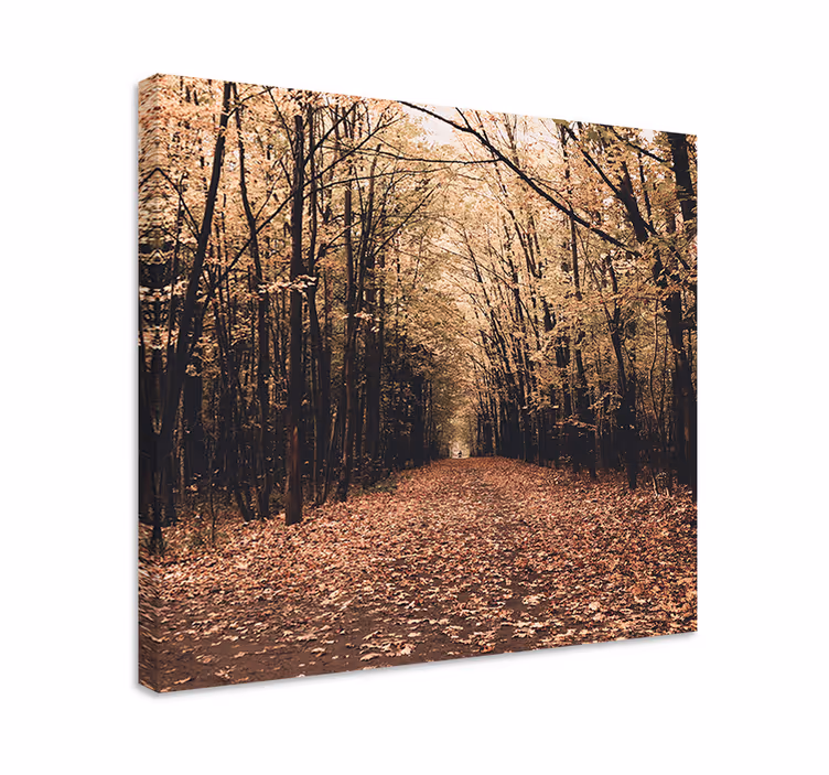 Natur vacker skog höst träd väggcanvas tavla - Tenstickers