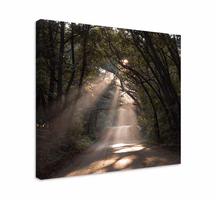 Natur grusväg i skogen träd väggcanvas tavla - Tenstickers