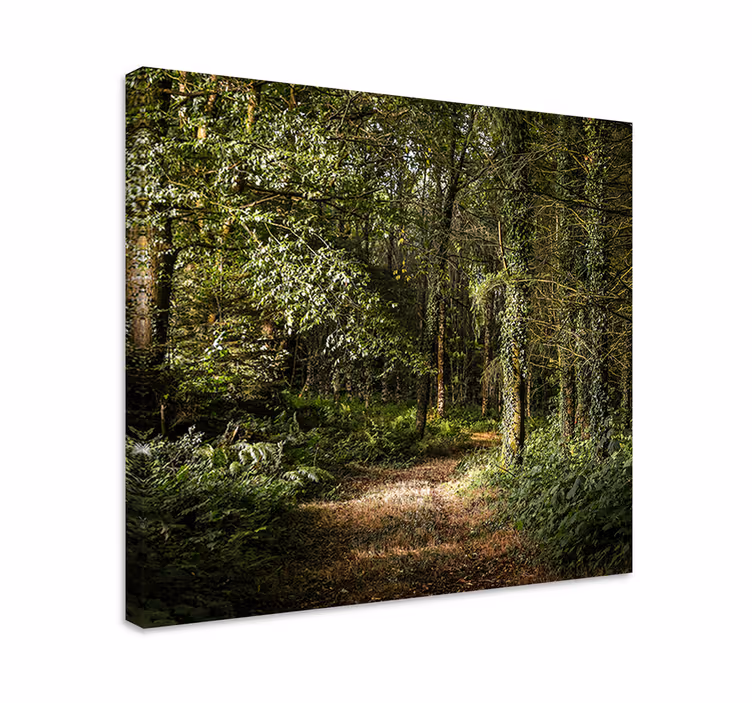 Natur lummig väg i skog träd väggcanvas tavla - Tenstickers