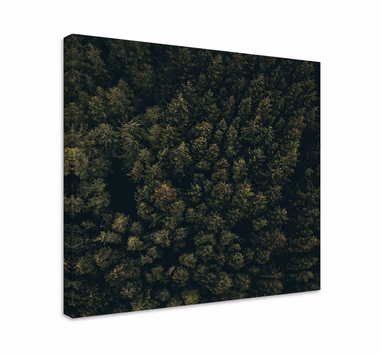 "natur" visa gröna tallar landskapcanvas tavla - Tenstickers