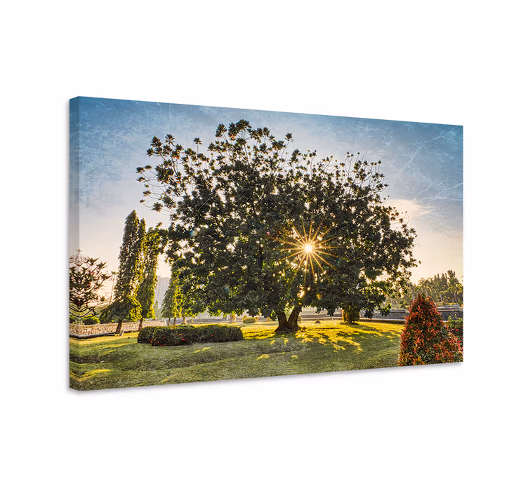 Solig sommar grön park landskapcanvas tavla - Tenstickers