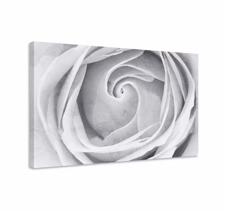 Kanvas blommor och växter elegant ros spiral - Tenstickers