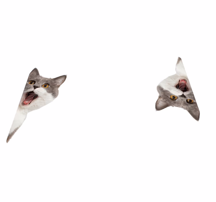 Vinylmatta djur katt som spionerar på vit bakgrund - Tenstickers