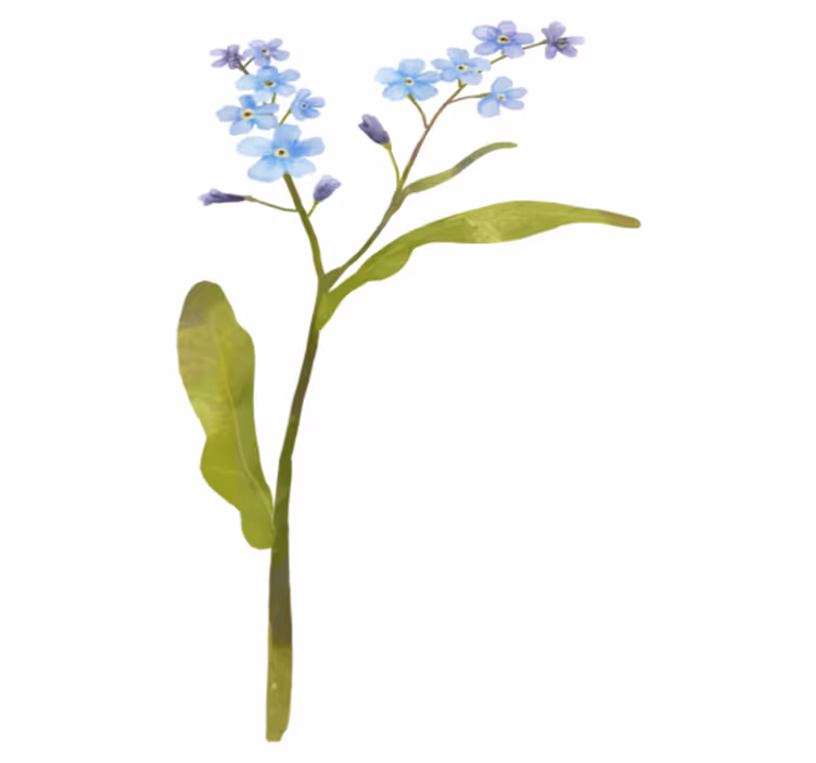 Vinylmatta blommor och växter i graciös blå växt - Tenstickers