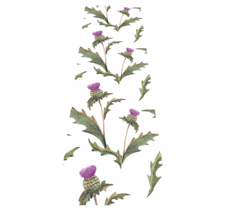 Vinylmatta sovrum skotska tistelblommor - Tenstickers