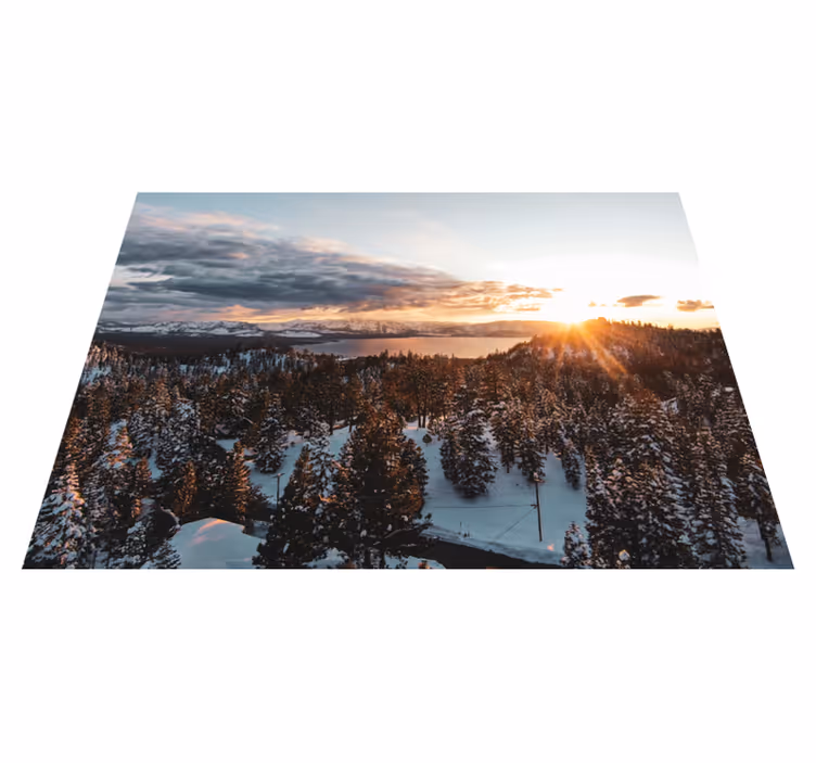 Vinylmatta natur lummig skogslandskap - Tenstickers