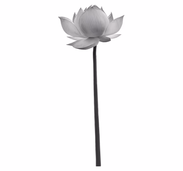 Vinylmatta sovrum lotus ensam blomma - Tenstickers
