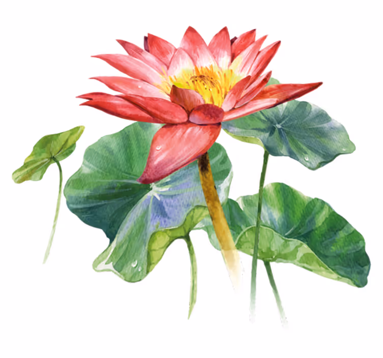 Vinylmatta sovrum lotus akvarell illusion - Tenstickers