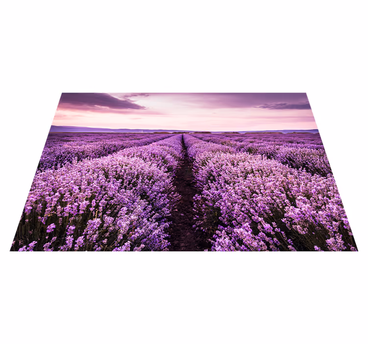 Vinylmatta lila fototapet lavendelblommor i provence - Tenstickers