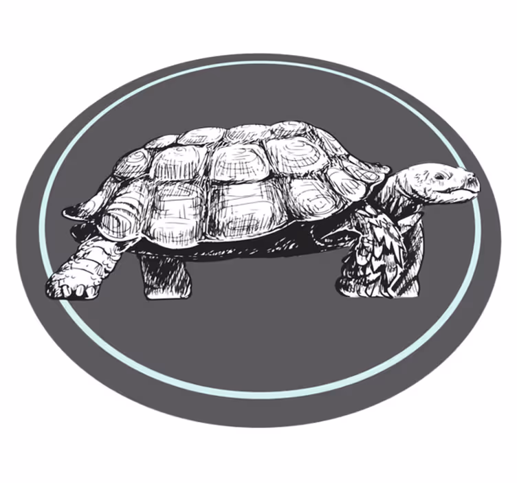 Illustrerad sköldpadda Vinylmatta djur - Tenstickers