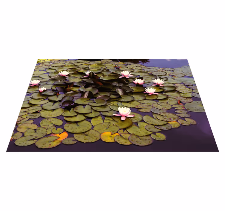 Lotus i damm blommig vinylmatta - Tenstickers