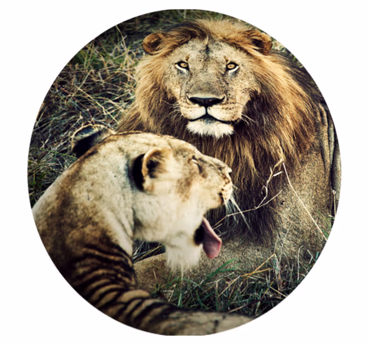 Lejon och lejoninna djurmatta - Tenstickers