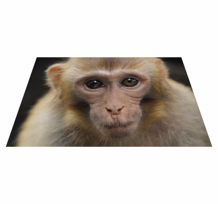 Realistisk apa djur matta - Tenstickers
