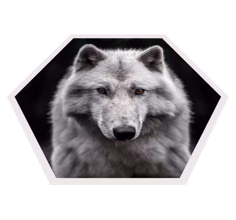 Alfa varg på svart djur matta - Tenstickers
