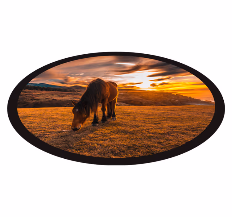 Solnedgång häst vackra djur matta - Tenstickers