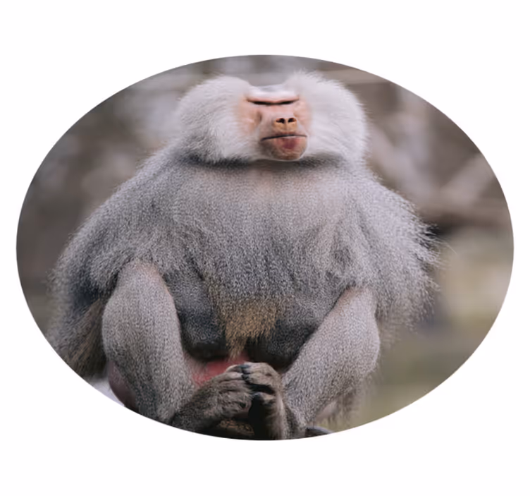 Djur cool apa vinyl matta - Tenstickers