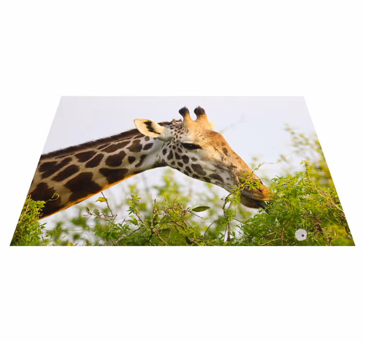 Djur hög giraff vinyl matta - Tenstickers