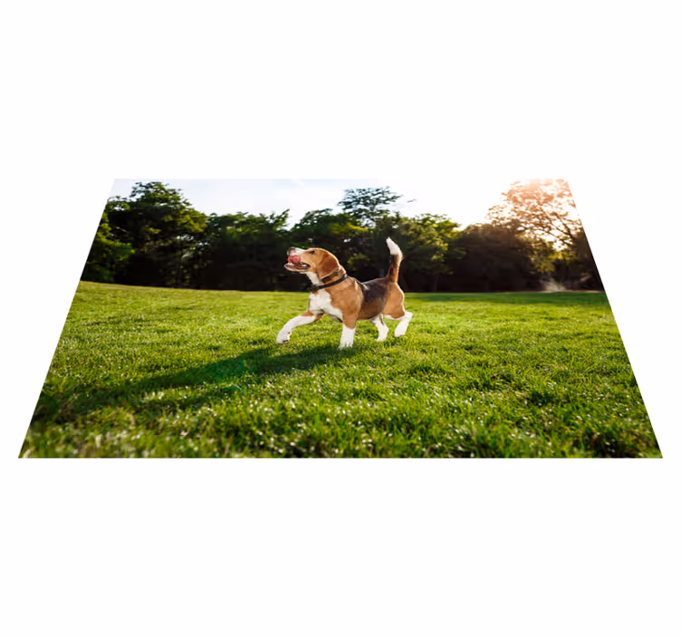 Glad beagle springer Vinylmatta djur - Tenstickers