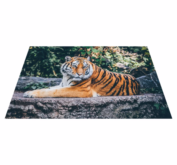Majestätisk tiger liggande Vinylmatta djur - Tenstickers