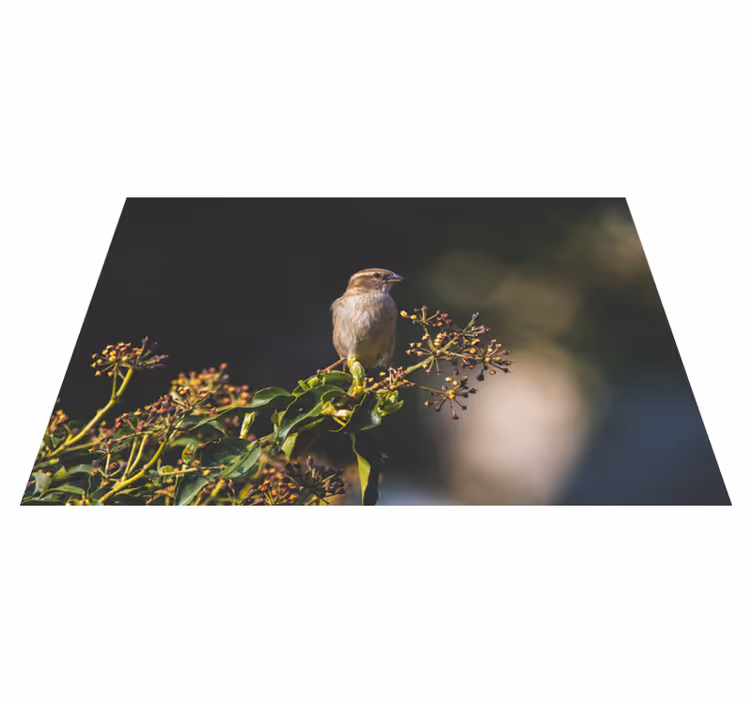 Charmig fågel uppe Vinylmatta natur - Tenstickers