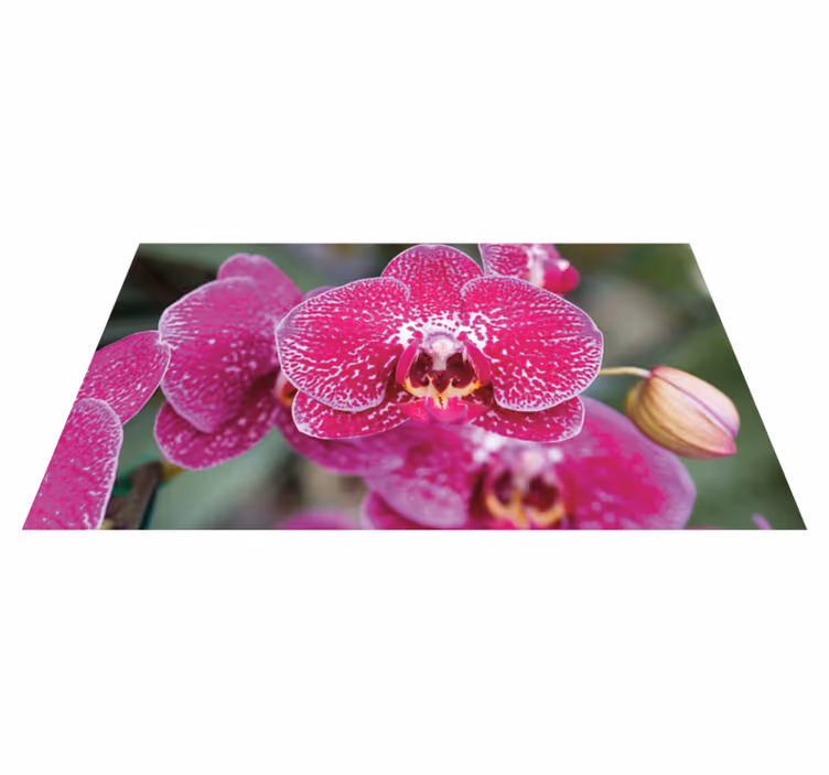 Lila orkidé närbild blommig matta - Tenstickers
