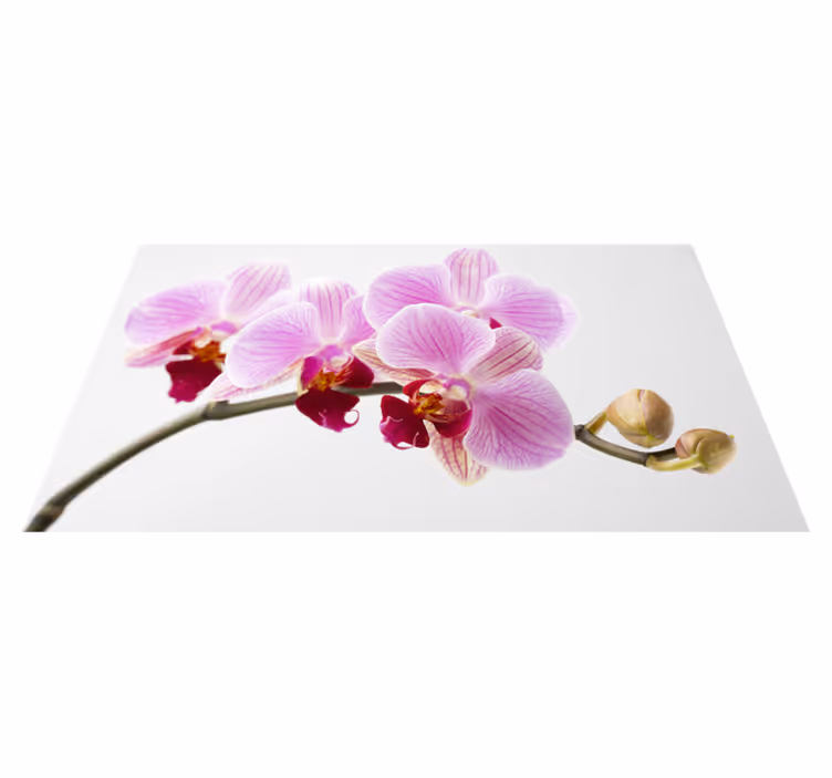 Rosa orkidédesign Vinylmatta blommor och växter - Tenstickers