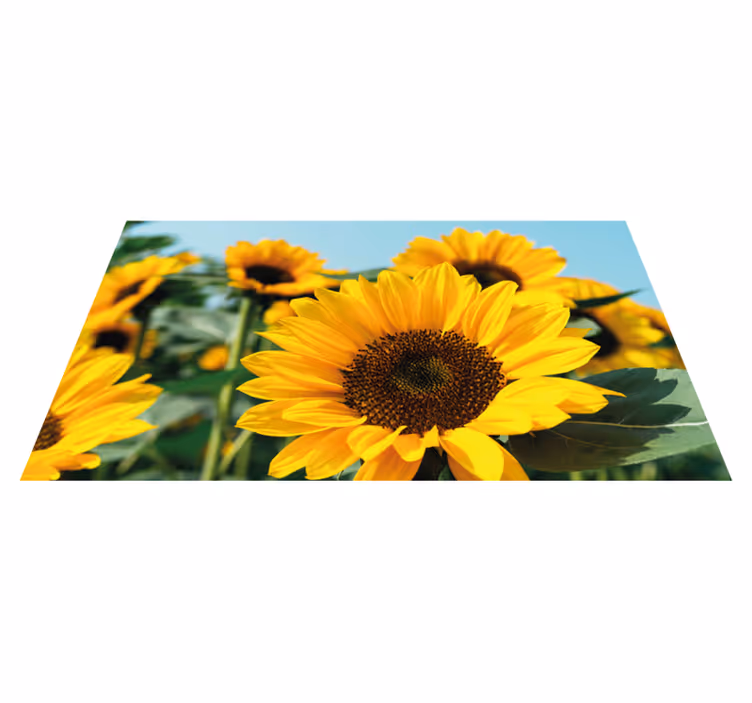 Ljus solrosdesign Vinylmatta blommor och växter - Tenstickers