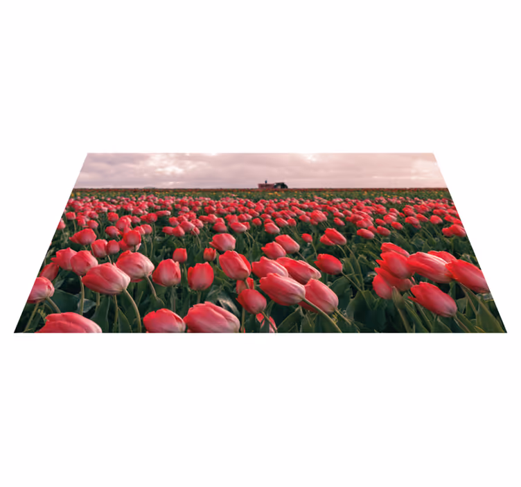 Röd rosa tulpan fält blommig vinyl matta - Tenstickers