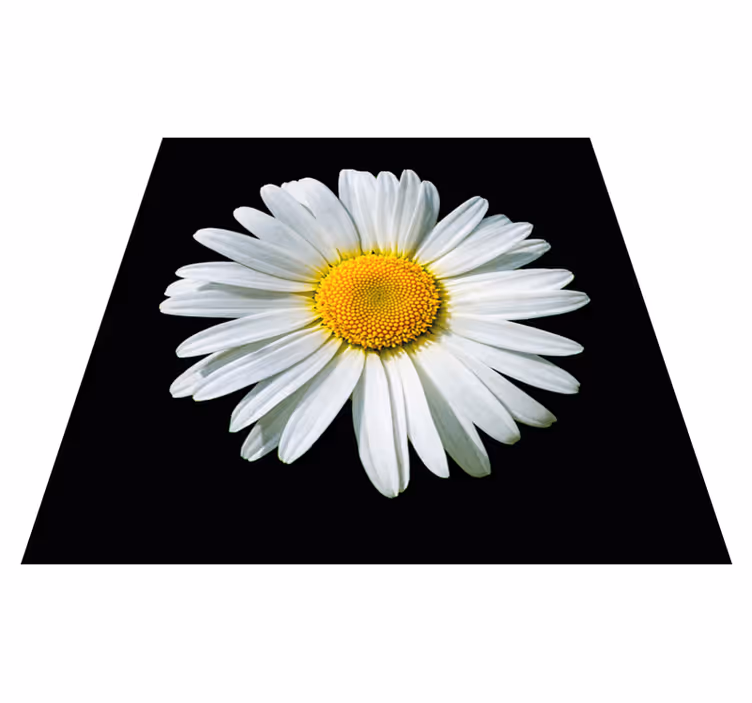 Prästkrageblomma Vinylmatta blommor och växter - Tenstickers