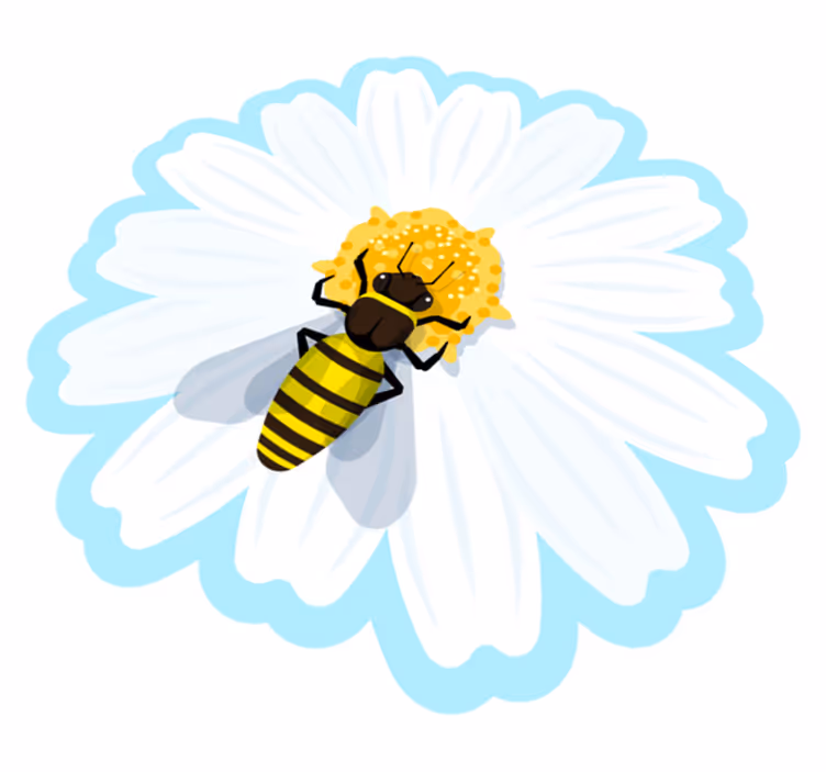 Bi på prästkrage Vinylmatta blommor och växter - Tenstickers