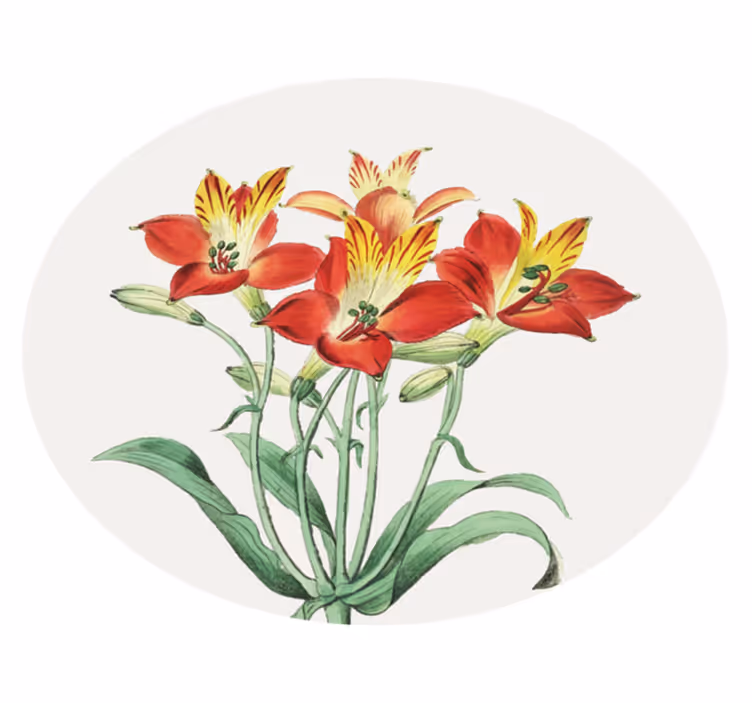 Vinylmatta blommor och växter livliga röda blommor - Tenstickers