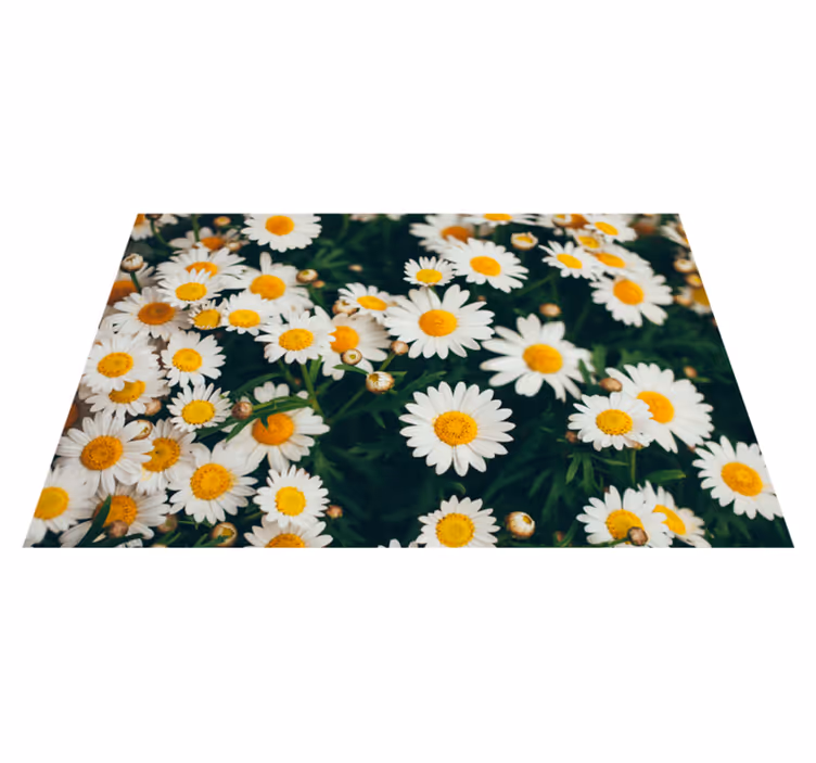 Prästkrage blommigt tryck Vinylmatta blommor och växter - Tenstickers