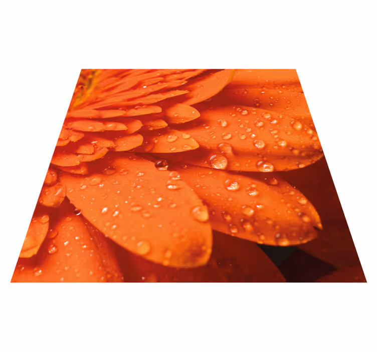 Orange blomma i närbild blommig matta - Tenstickers